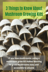 how to grow mushrooms