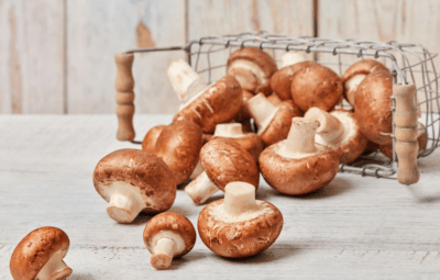 Common Edible Mushrooms