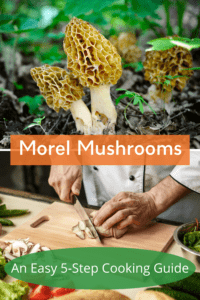 morel mushrooms benefits