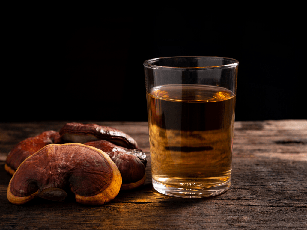 reishi mushroom tea