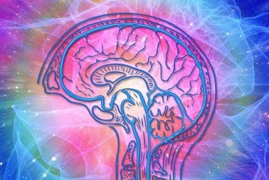 Cordyceps Mushroom Powder