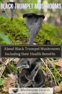 Black trumpet mushroom powder