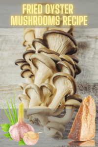 fried oyster mushroom recipe