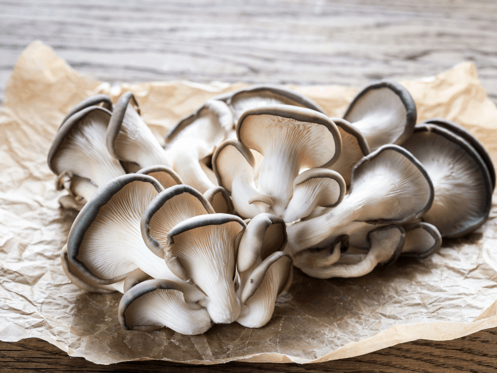 white oyster mushrooms
