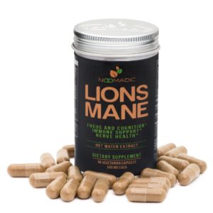 noomadic Lion's mane supplement