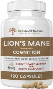best lion's mane supplement