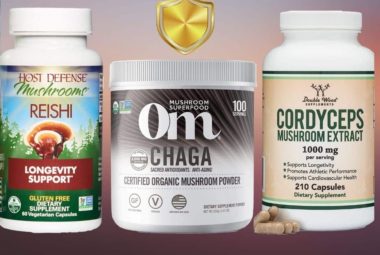 Best Mushroom Supplements