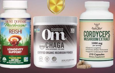 Best Mushroom Supplements