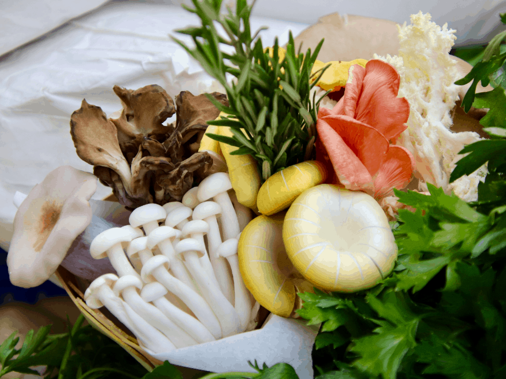 growing gourmet mushrooms