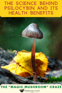 magic mushroom health benefits