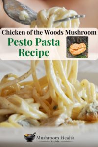 Chicken of the woods recipe