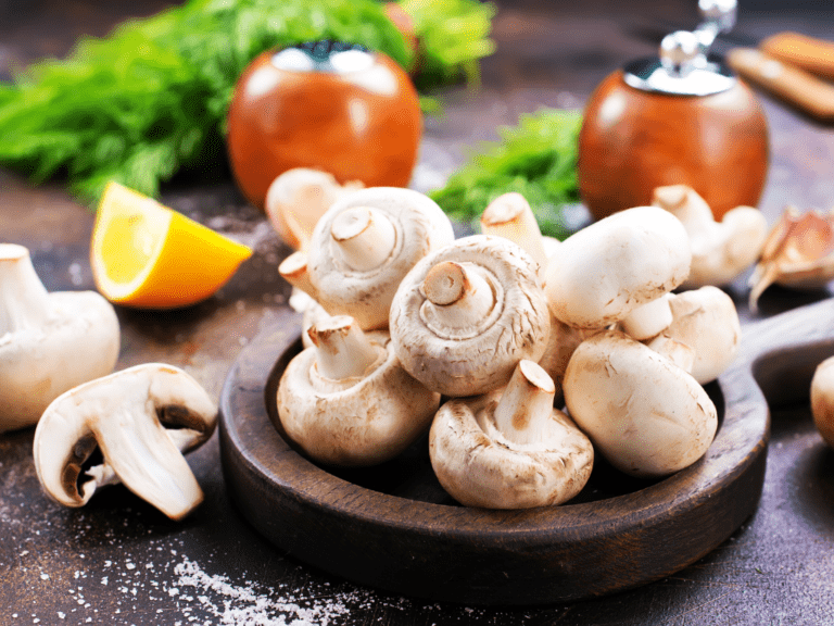 is-a-mushroom-a-vegetable-mushroom-health-guide