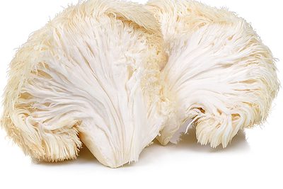 Monkey Head Mushrooms