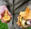 Man Holding Mushrooms